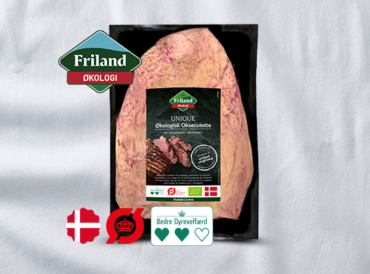 Økologi