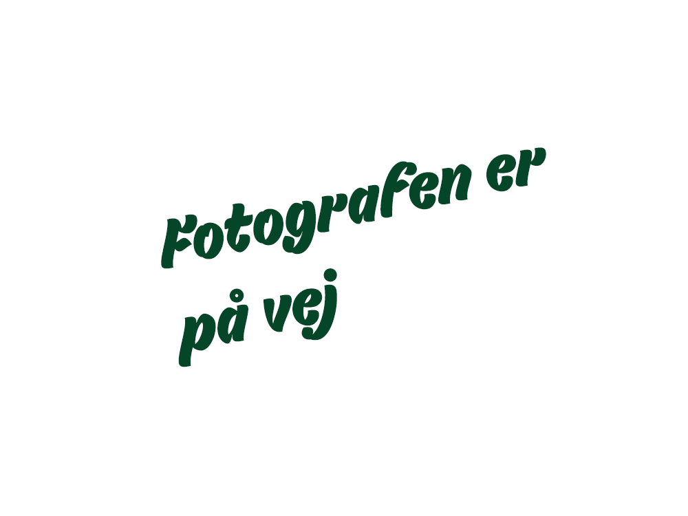 Franskbrød med alm ost