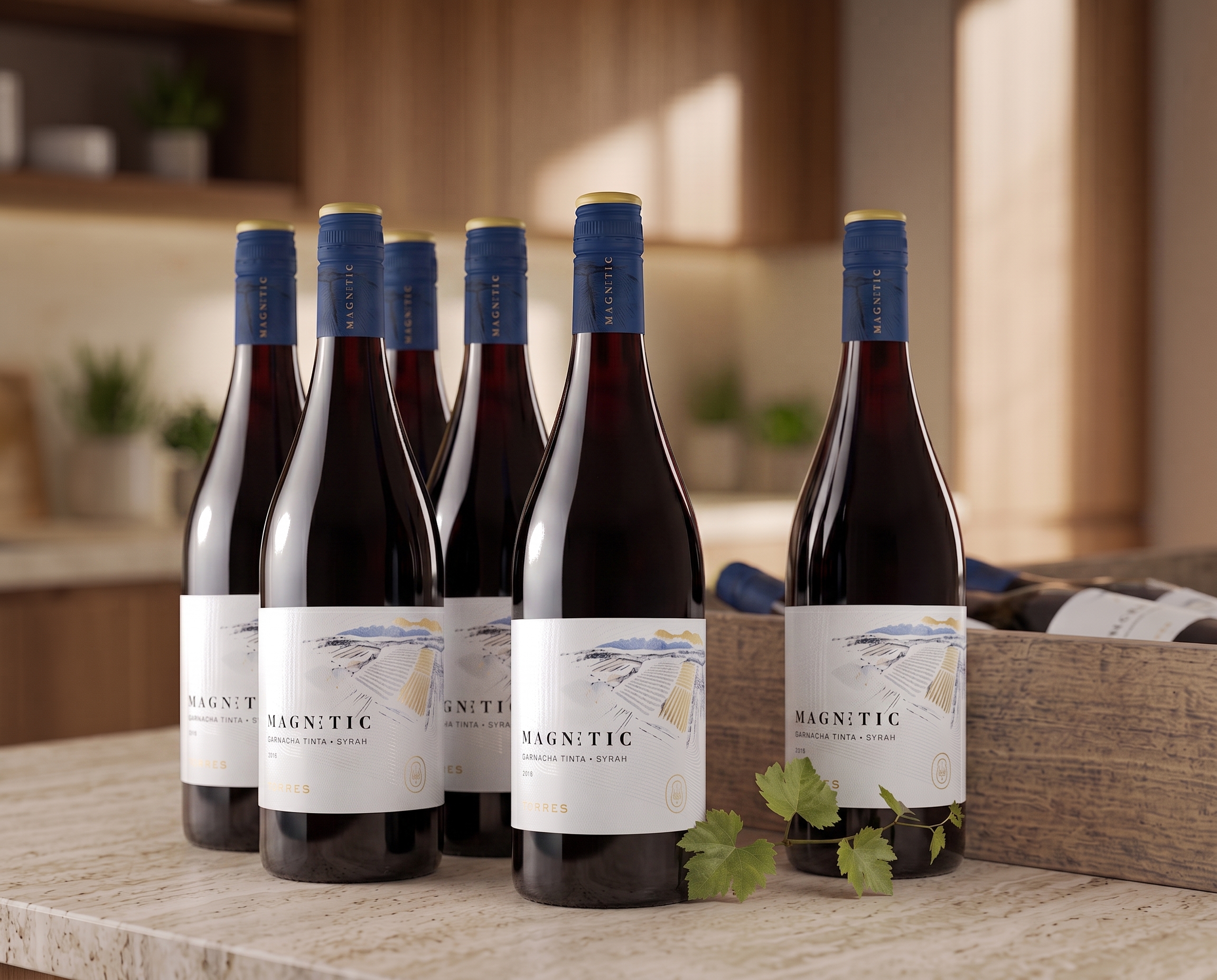 Garnacha & Syrah 2024 (Kasse)