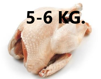 FERSK GRÅSTEN FRILANDS KALKUN 5-6 KG.